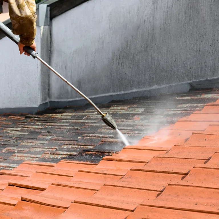 Démoussage et nettoyage de toiture à Bons-en-Chablais